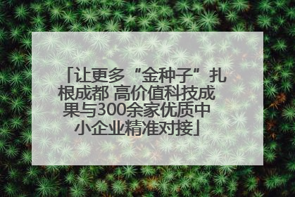 让更多“金种子”扎根成都 高价值科技成果与300余家优质中小企业精准对接