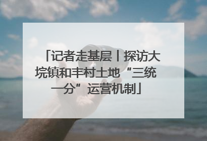 记者走基层丨探访大垸镇和丰村土地“三统一分”运营机制