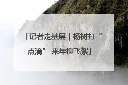 记者走基层｜杨树打“点滴” 来年抑飞絮