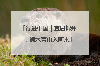 行进中国｜宜居锦州：绿水青山入画来