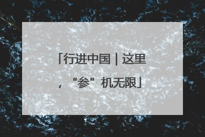 行进中国｜这里，“参”机无限