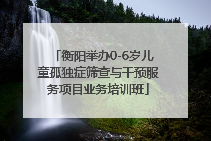 衡阳举办0-6岁儿童孤独症筛查与干预服务项目业务培训班