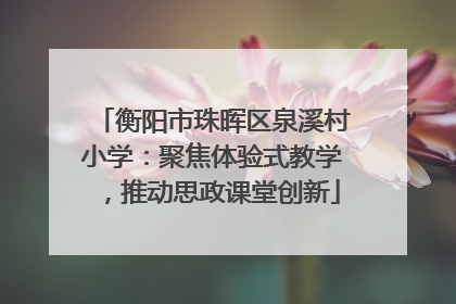 衡阳市珠晖区泉溪村小学：聚焦体验式教学，推动思政课堂创新