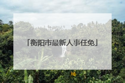衡阳市最新人事任免