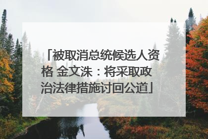 被取消总统候选人资格 金文洙：将采取政治法律措施讨回公道