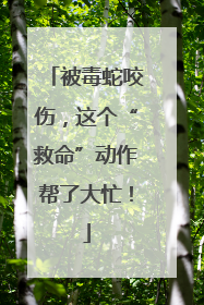 被毒蛇咬伤，这个“救命”动作帮了大忙！