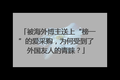 被海外博主送上“榜一”的爱采购，为何受到了外国友人的青睐？