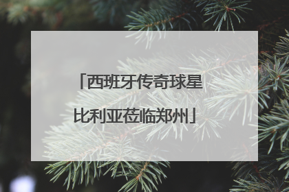 西班牙传奇球星 比利亚莅临郑州