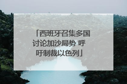 西班牙召集多国讨论加沙局势 呼吁制裁以色列