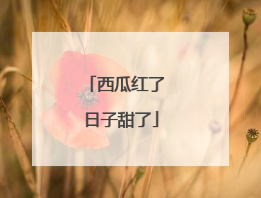 西瓜红了 日子甜了