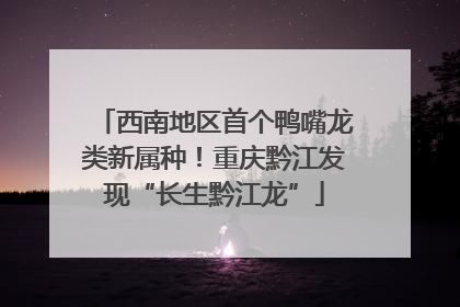 西南地区首个鸭嘴龙类新属种！重庆黔江发现“长生黔江龙”