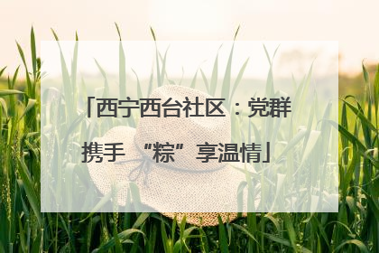 西宁西台社区：党群携手 “粽”享温情