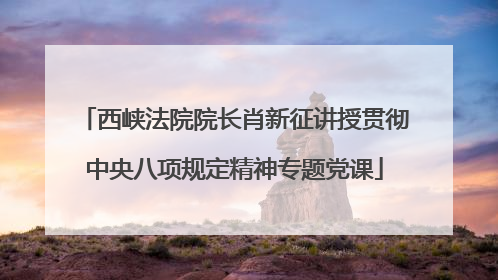 西峡法院院长肖新征讲授贯彻中央八项规定精神专题党课