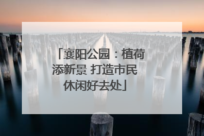 襄阳公园：植荷添新景 打造市民休闲好去处