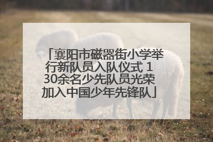 襄阳市磁器街小学举行新队员入队仪式 130余名少先队员光荣加入中国少年先锋队