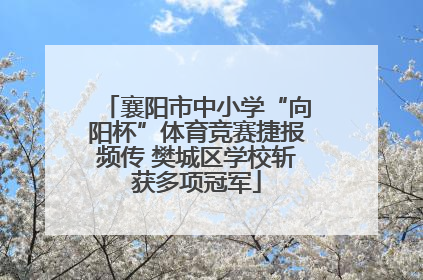 襄阳市中小学“向阳杯”体育竞赛捷报频传 樊城区学校斩获多项冠军