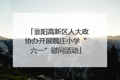 襄阳高新区人大政协办开展魏庄小学“六一”慰问活动