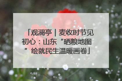 观澜亭｜麦收时节见初心：山东“晒粮地图”绘就民生温暖画卷