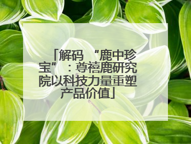 解码 “鹿中珍宝”：尊禧鹿研究院以科技力量重塑产品价值