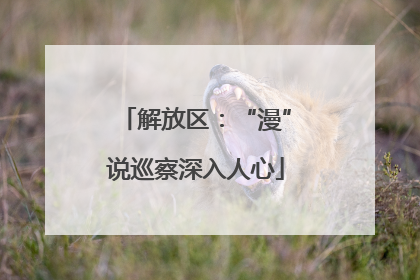 解放区：“漫”说巡察深入人心