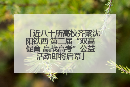 近八十所高校齐聚沈阳铁西 第二届“双高促育 赢战高考”公益活动即将启幕