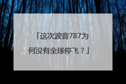 这次波音787为何没有全球停飞？