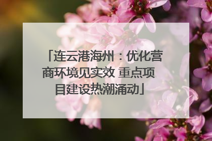 连云港海州：优化营商环境见实效 重点项目建设热潮涌动