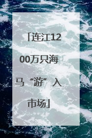 连江1200万只海马“游”入市场