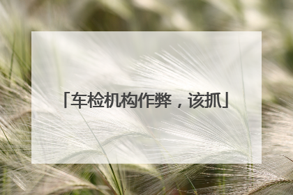 车检机构作弊，该抓