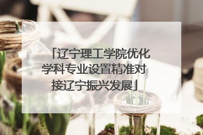 辽宁理工学院优化学科专业设置精准对接辽宁振兴发展