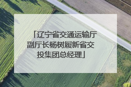 辽宁省交通运输厅副厅长杨树履新省交投集团总经理