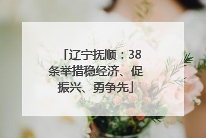 辽宁抚顺：38条举措稳经济、促振兴、勇争先