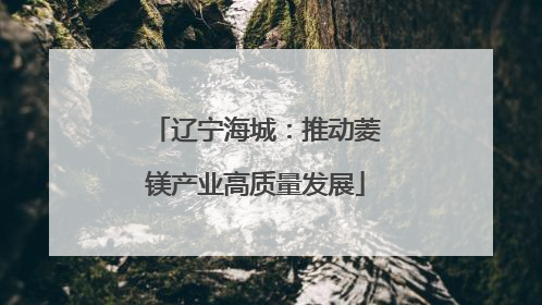 辽宁海城：推动菱镁产业高质量发展