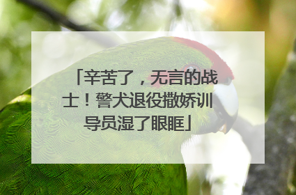 辛苦了，无言的战士！警犬退役撒娇训导员湿了眼眶