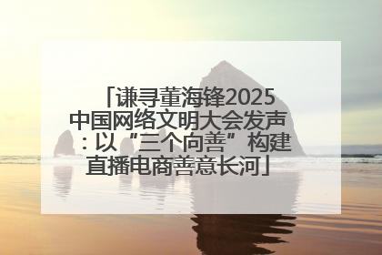 谦寻董海锋2025中国网络文明大会发声：以“三个向善”构建直播电商善意长河