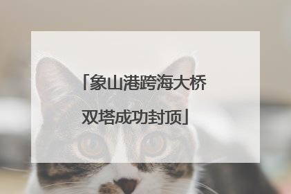 象山港跨海大桥双塔成功封顶