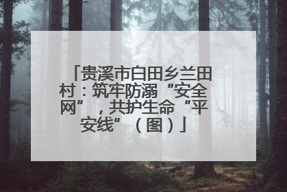 贵溪市白田乡兰田村：筑牢防溺“安全网”，共护生命“平安线”（图）
