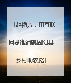 赵艳芳：用互联网思维铺就固阳县乡村助农路