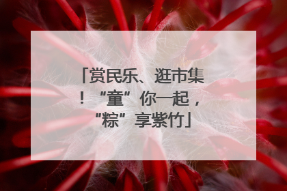 赏民乐、逛市集！“童”你一起，“粽”享紫竹