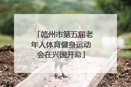 赣州市第五届老年人体育健身运动会在兴国开幕