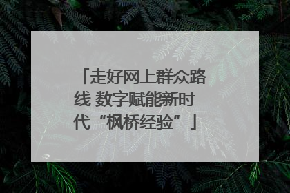 走好网上群众路线 数字赋能新时代“枫桥经验”