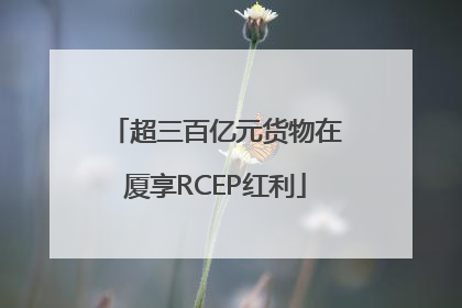 超三百亿元货物在厦享RCEP红利