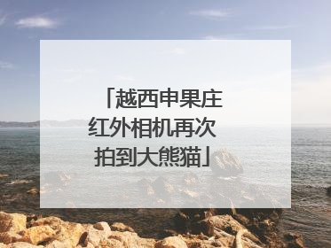 越西申果庄红外相机再次拍到大熊猫