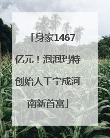 身家1467亿元！泡泡玛特创始人王宁成河南新首富