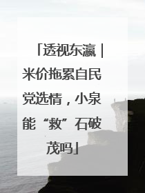 透视东瀛｜米价拖累自民党选情，小泉能“救”石破茂吗