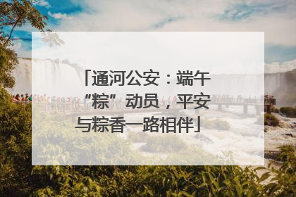 通河公安：端午“粽”动员，平安与粽香一路相伴