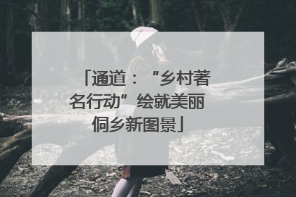 通道：“乡村著名行动”绘就美丽侗乡新图景