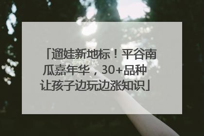 遛娃新地标！平谷南瓜嘉年华，30+品种让孩子边玩边涨知识