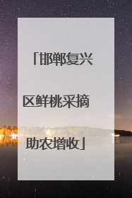 邯郸复兴区鲜桃采摘助农增收