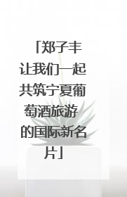 郑子丰 让我们一起共筑宁夏葡萄酒旅游 的国际新名片